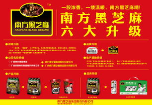 跨界之光 從設(shè)計到軟件開發(fā)的學(xué)習(xí)之旅